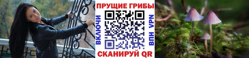 Галлюциногенные грибы MAGIC MUSHROOMS Мурманск